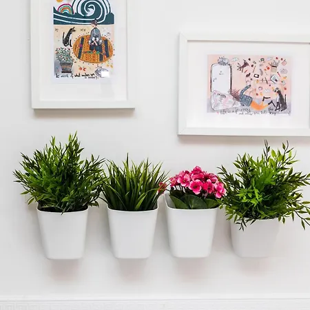 Apartments Ana Baska Room photo